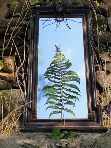 Gut Steimke Impressionen 00002