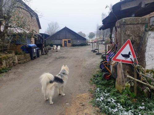 Gut Steimke Impressionen 00010