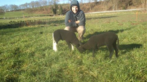 Gut-Steimke-Tiere-00003