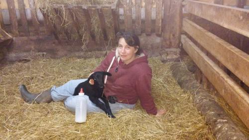 Gut-Steimke-Tiere-00012