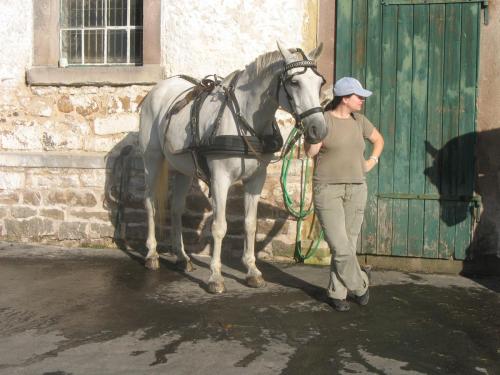 Gut-Steimke-Tiere-00030