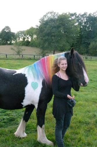 Gut-Steimke-Tiere-00033